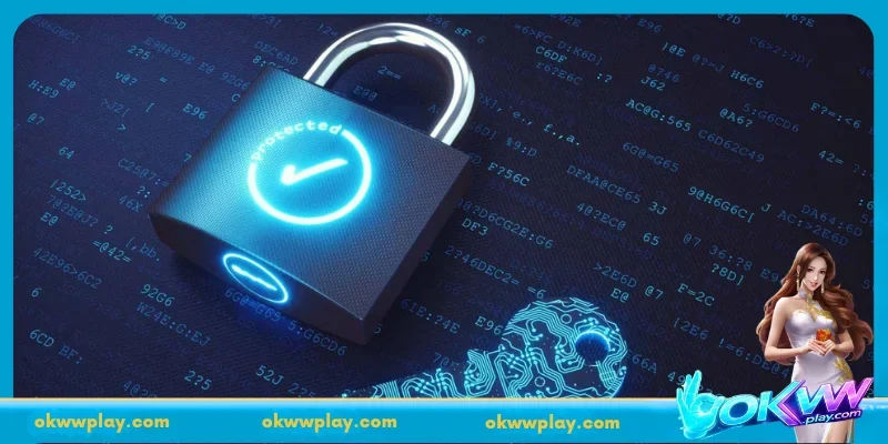 An Overview of OKWWPrivacy Policy