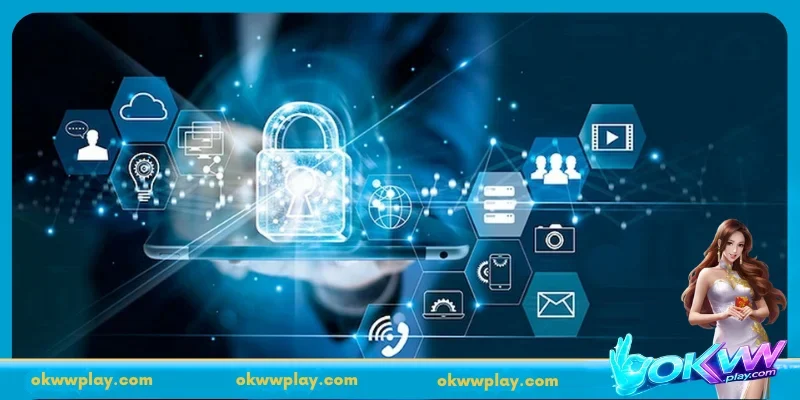 Conditions stipulated by the OKWW platform's Privacy Policy