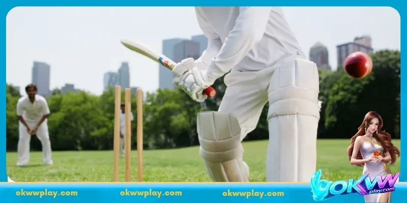 Discover the appeal of Virtual Cricket Betting at OKWW