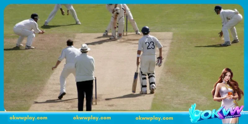 Discover the secrets of virtual cricket betting 24/7 at OKWW