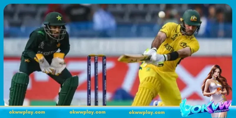 OKWW Reveals the Latest Top Run Scorer Betting in Cricket 2026
