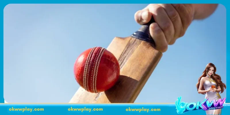 Overview of Virtual Cricket Betting 24/7